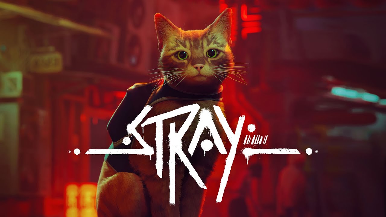 Herní recenze: Stray